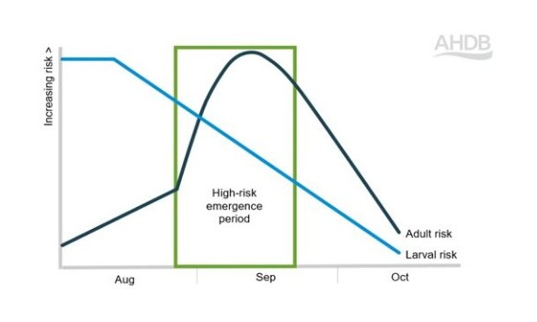 Graph showing high-risk period for emerging oilseed rape crops.